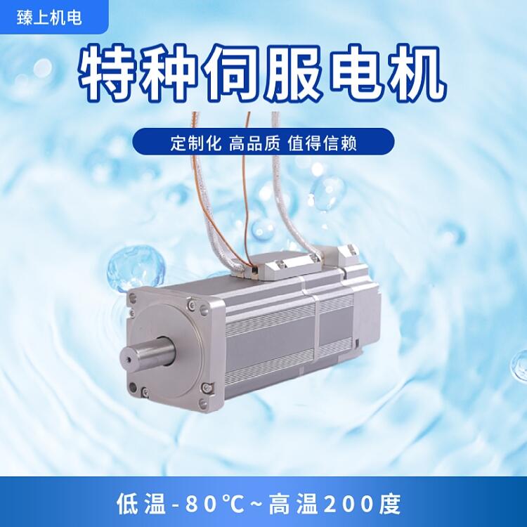 上海臻上機(jī)電 真空電機(jī) 真空度10-7P啊真空環(huán)境下運行